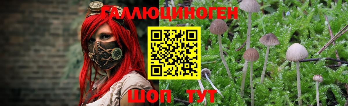 Апрелевка  Галлюциногенные грибы ЛСД  Псилоцибиновые грибы GOLDEN TEACHER  Вход с VPN 